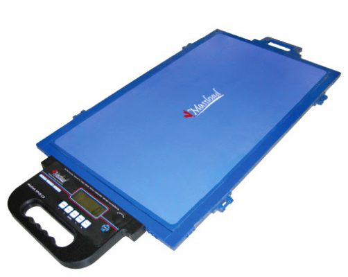 Cân kiểm tra tải trọng xe